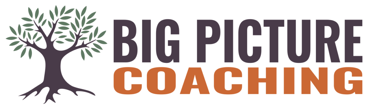 BIG Picture Coaching - Get into the Growth Zone